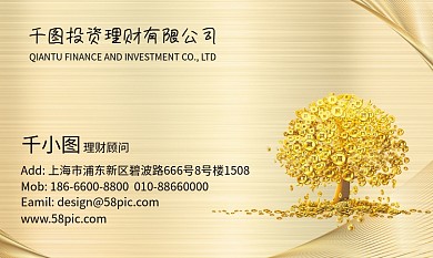 投资理财顾问销售名片