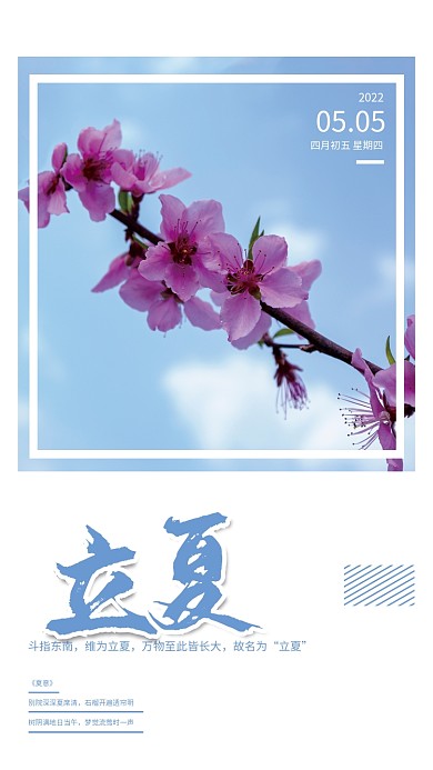 二十四节气立夏蓝天花枝简约海报