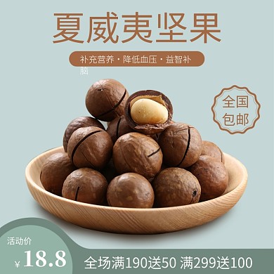 夏威夷坚果水果电商直通车主图