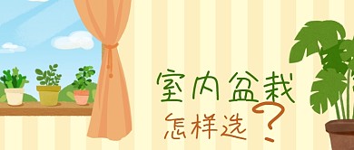 公众号封面手绘房间窗户植物盆栽园艺生活