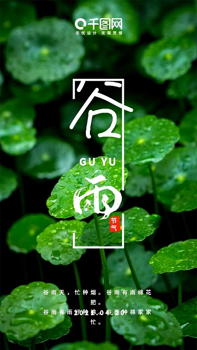 清新简约绿色谷雨手机用图