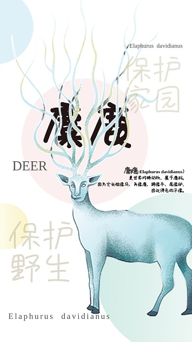 简约保护野生动物保护之麋鹿海报
