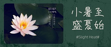 小暑节气荷花绿色公众号首图