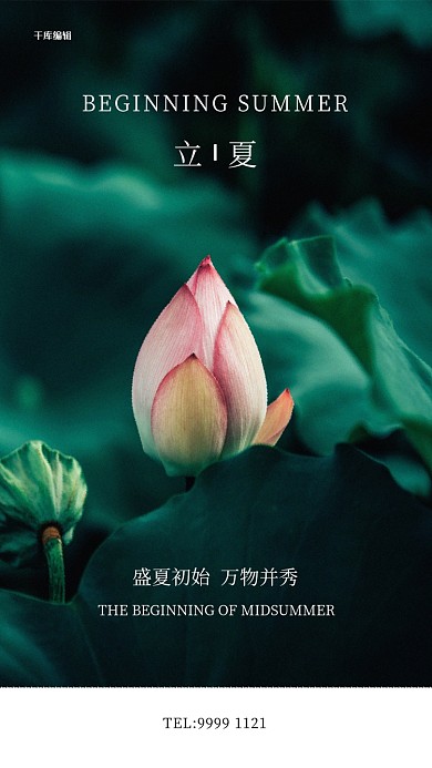 立夏荷花绿色写实海报