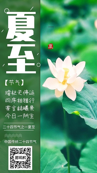 中国传统节气夏至海报