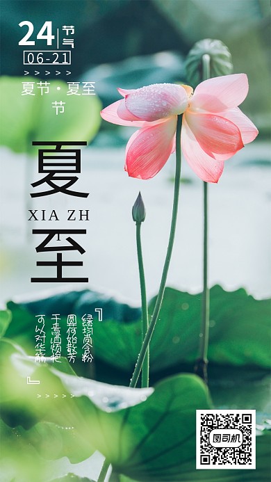 绿色大气二十四节气夏至手机海报
