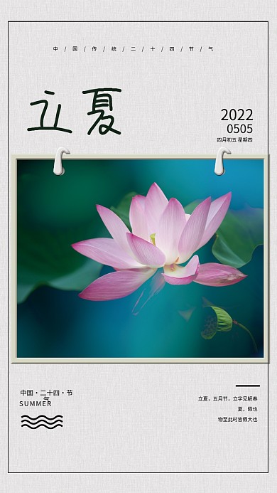 二十四节气立夏荷花日历简约海报