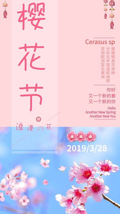 简洁清新樱花节手机海报