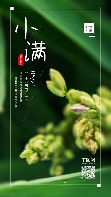 绿色小清新小满节气手机宣传海报