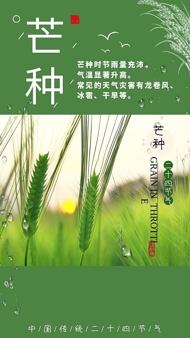 绿色清新传统芒种时节展板海报