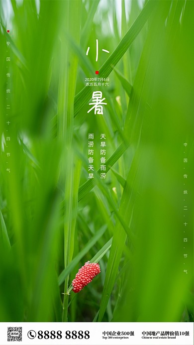 田间摄影水稻小暑节气海报