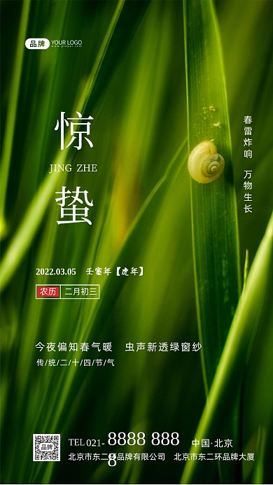 惊蛰节气二十四节气摄影图海报