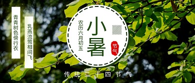 创意中国传统小暑节气微信公众号素材图片