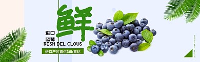 新鲜进口蓝莓叶子简约淘宝banner