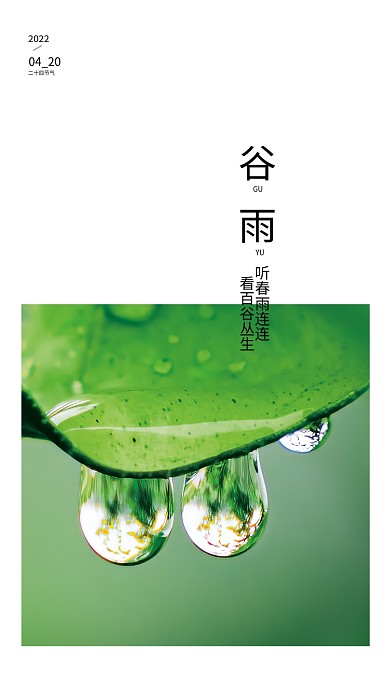 谷雨二十四节气简约小清新雨滴雨水节日海报
