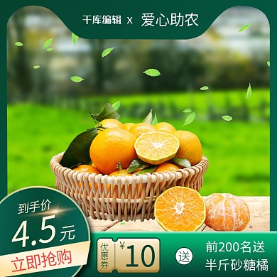 爱心助农蔬菜水果绿色简约主图