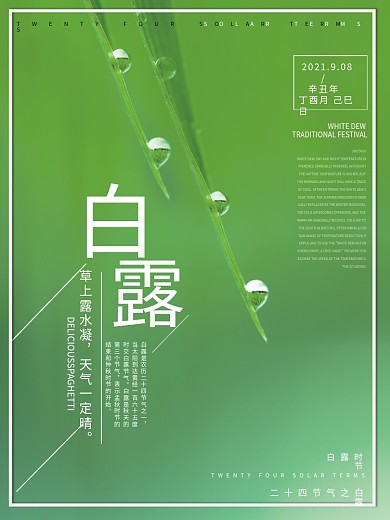 绿色背景叶子水滴白露节气宣传海报