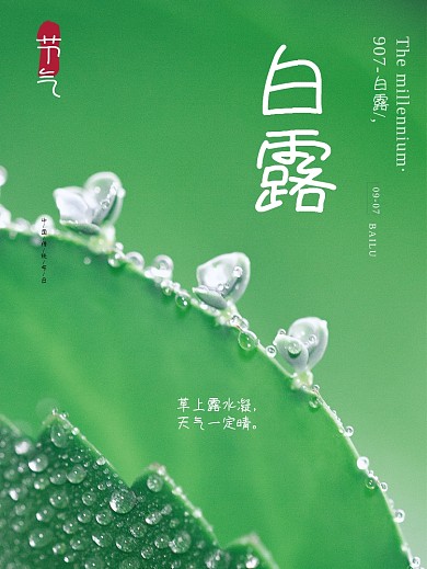 创意合成简约白露节气摄影图海报