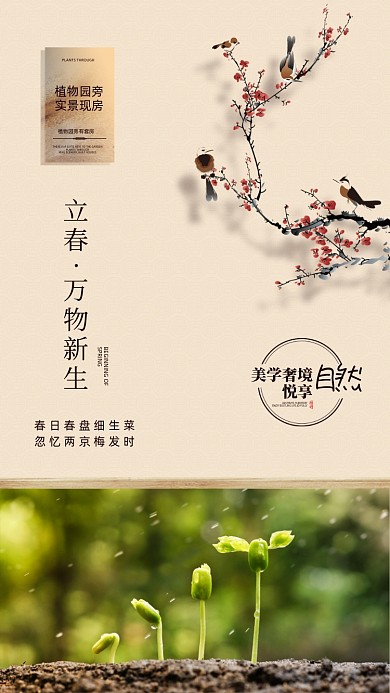 立春节气复古简约摄影图海报