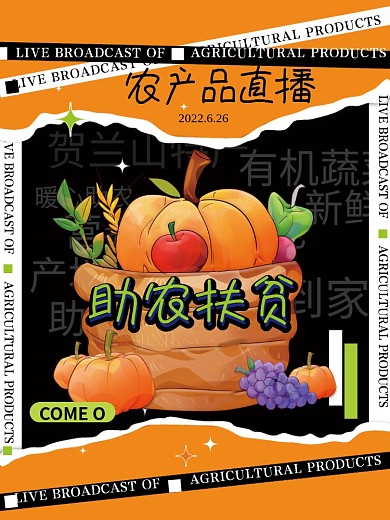 农产品直播贺兰山特产有机蔬菜宣传海报