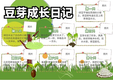 豆芽成长日记动植物观察小报手抄报模板