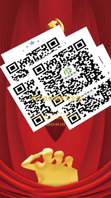 党建风2022年全民国家安全教育日海报