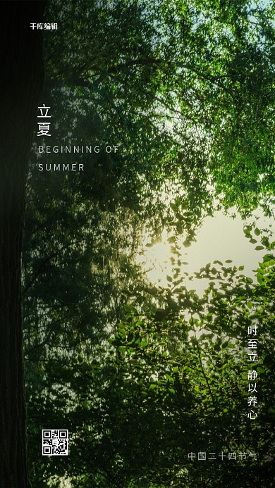 立夏树林绿色写实海报