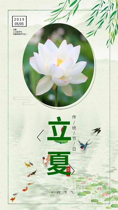 二十四节气立夏荷花手机海报
