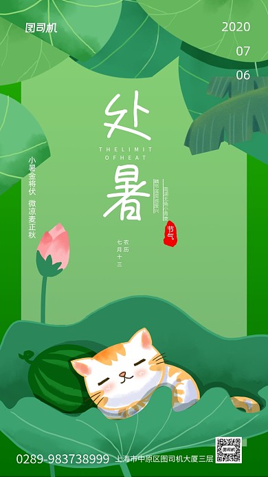 荷花卡通猫咪小暑节气手机海报