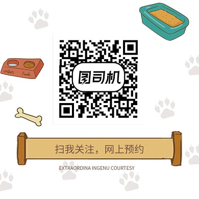 手绘卡通宠物店关注二维码