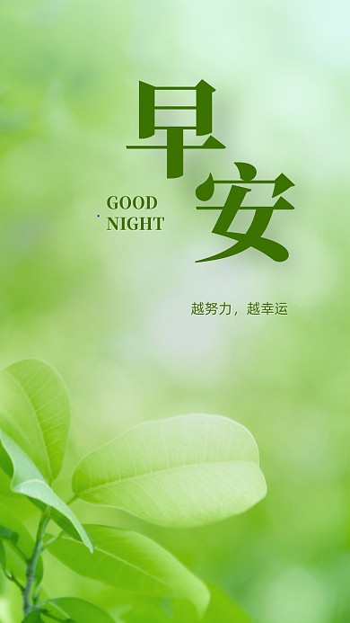 早安问候绿色清新文章配图