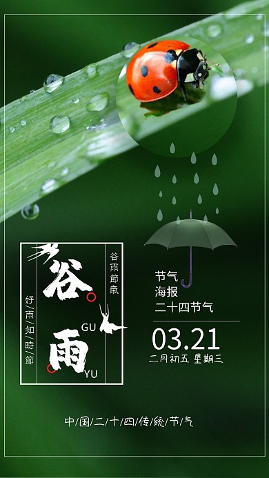 节气谷雨绿色植物树叶七星瓢虫手机海报