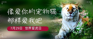 世界爱虎日简约老虎公众号首图