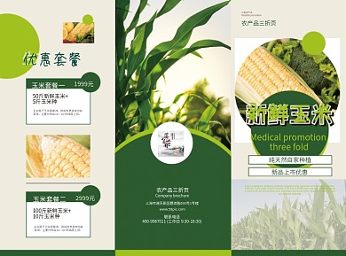 大气农产品玉米宣传三折页