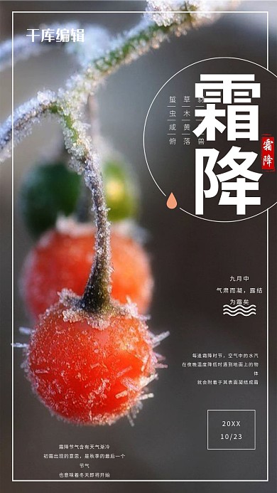 霜降简约雪景二十四节气海报