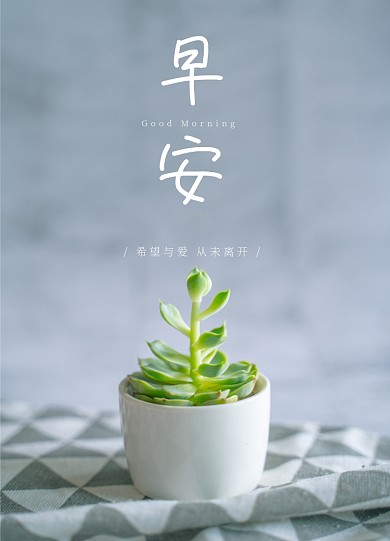 摄影清新文艺早安问候文章配图