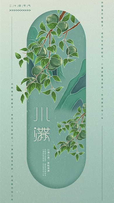原创插画标题字中国风小满节气手机海报