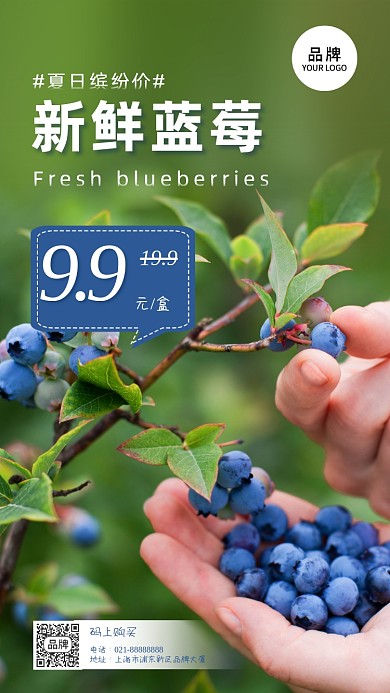 新鲜蓝莓夏日活动摄影图海报