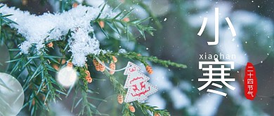 小寒树绿色清新公众号首图