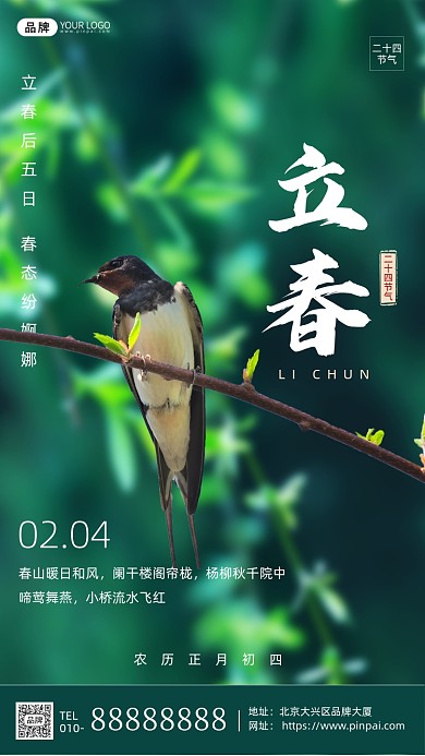 传统节气立春宣传摄影图海报