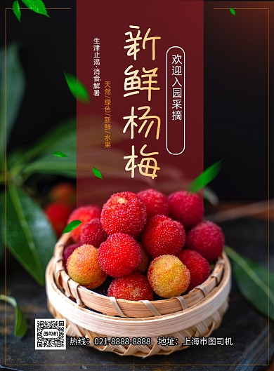 杨梅上市印刷海报