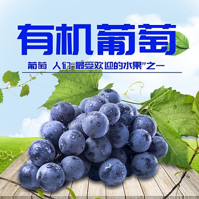 夏日清新水果葡萄主图直通车
