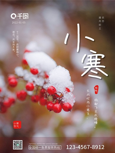简约小寒节气摄影图海报二十四节气小寒节气