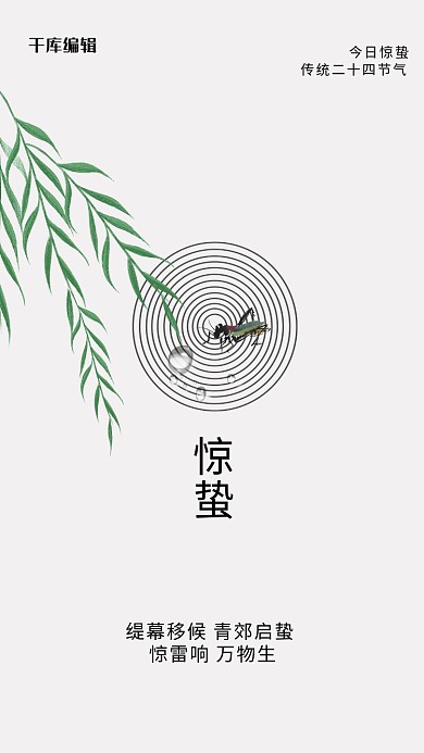 惊蛰 柳叶蚂蚱白色简约海报