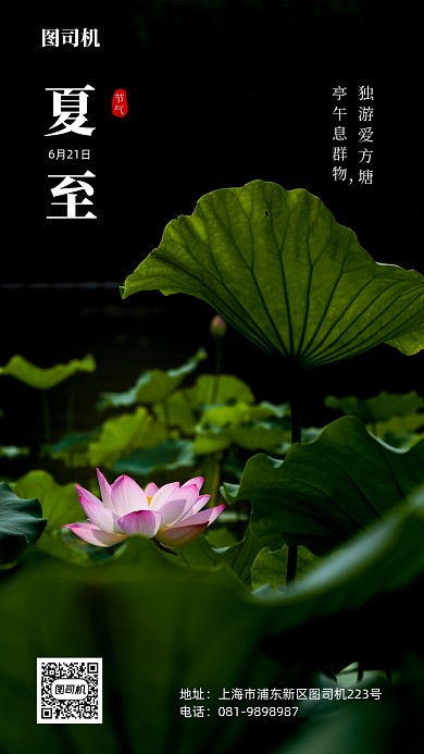 24节气夏至荷花池塘手机海报