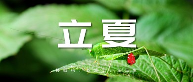 立夏蟋蟀绿色简约公众号首图