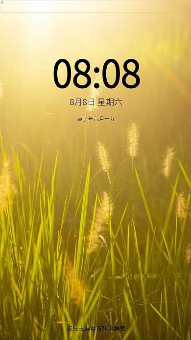 秋天路边野草摄影图