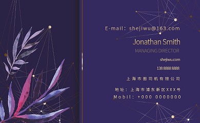 紫色神秘公司个人交友名片