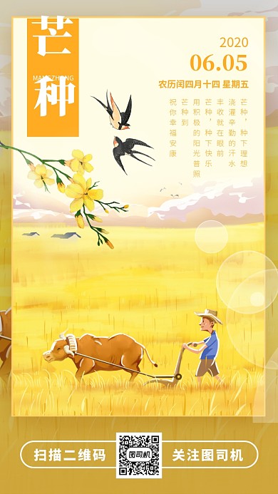 芒种节日手机海报