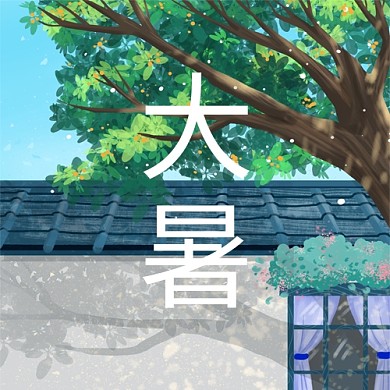 大暑绿植绿色现代公众号次图